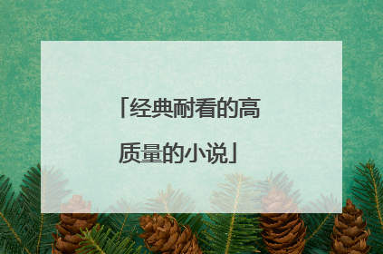 经典耐看的高质量的小说