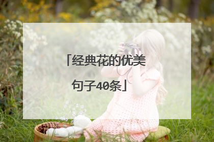 经典花的优美句子40条