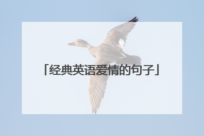 经典英语爱情的句子