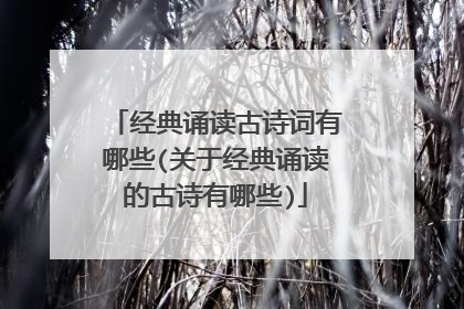 经典诵读古诗词有哪些(关于经典诵读的古诗有哪些)