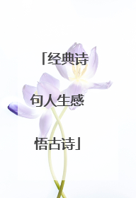经典诗句人生感悟古诗