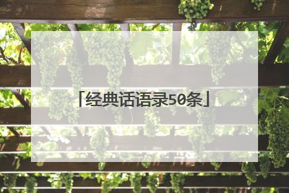 经典话语录50条