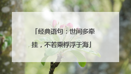 经典语句：世间多牵挂，不若乘桴浮于海