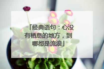 经典语句:心没有栖息的地方,到哪都是流浪