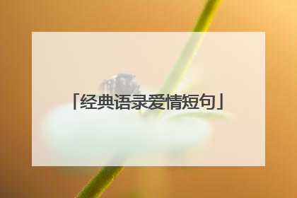 经典语录爱情短句
