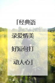 经典语录爱情美好短句打动人心