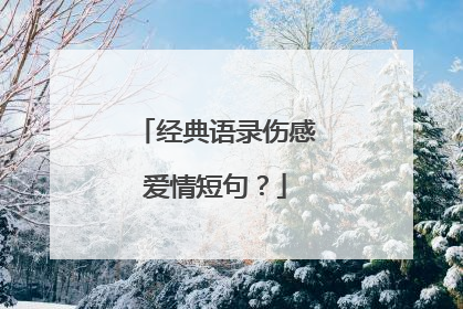 经典语录伤感爱情短句?