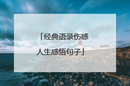 经典语录伤感人生感悟句子
