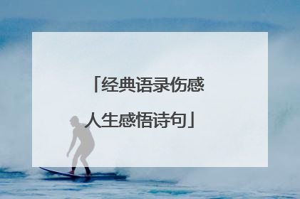经典语录伤感人生感悟诗句