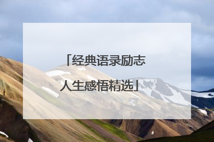 经典语录励志人生感悟精选