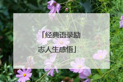 经典语录励志人生感悟