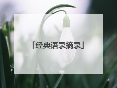 经典语录摘录