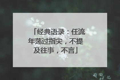 经典语录:任流年荡过指尖,不提及往事,不言