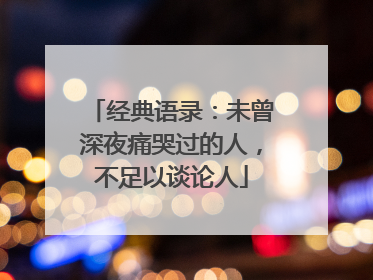 经典语录：未曾深夜痛哭过的人，不足以谈论人