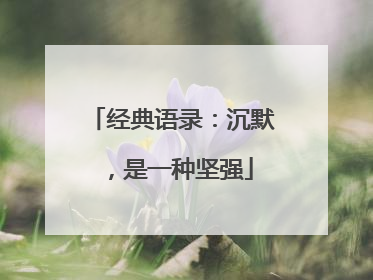 经典语录：沉默，是一种坚强