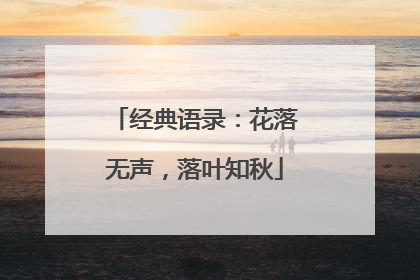 经典语录：花落无声，落叶知秋