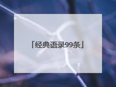 经典语录99条