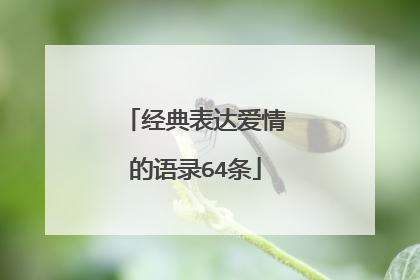 经典表达爱情的语录64条
