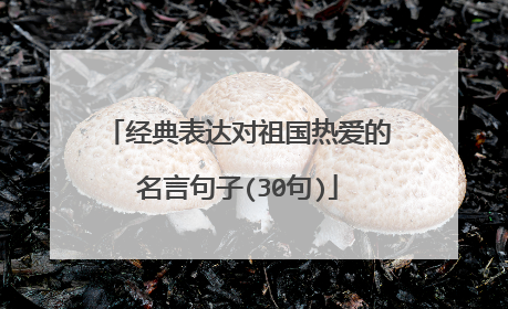 经典表达对祖国热爱的名言句子(30句)