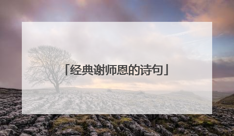经典谢师恩的诗句