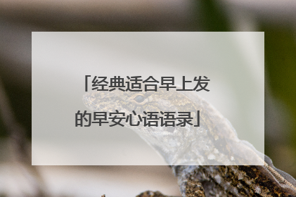 经典适合早上发的早安心语语录