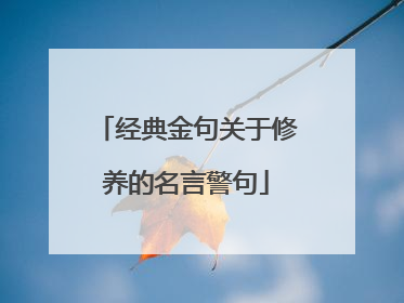 经典金句关于修养的名言警句