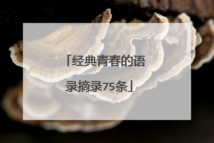 经典青春的语录摘录75条