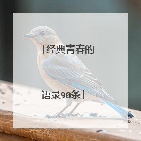 经典青春的语录90条