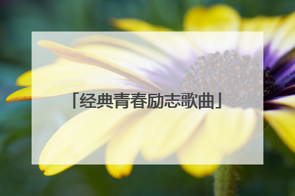 经典青春励志歌曲