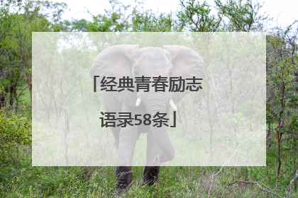经典青春励志语录58条