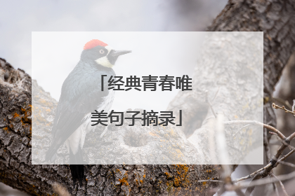 经典青春唯美句子摘录