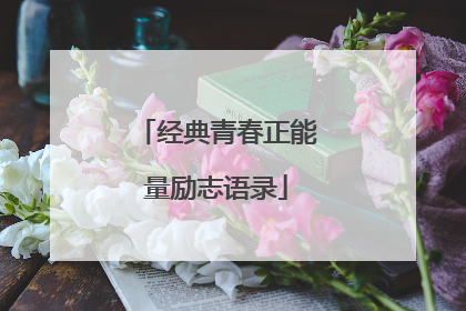 经典青春正能量励志语录
