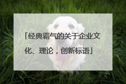 经典霸气的关于企业文化、理论,创新标语