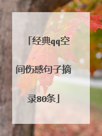 经典qq空间伤感句子摘录80条