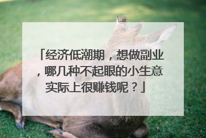 经济低潮期，想做副业，哪几种不起眼的小生意实际上很赚钱呢？