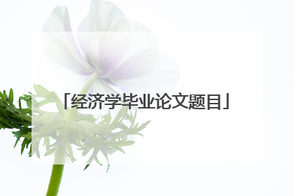 经济学毕业论文题目