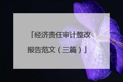 经济责任审计整改报告范文(三篇)