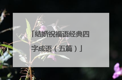 结婚祝福语经典四字成语（五篇）