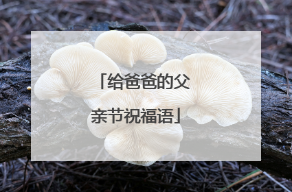 给爸爸的父亲节祝福语