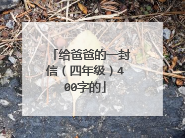 给爸爸的一封信（四年级）400字的