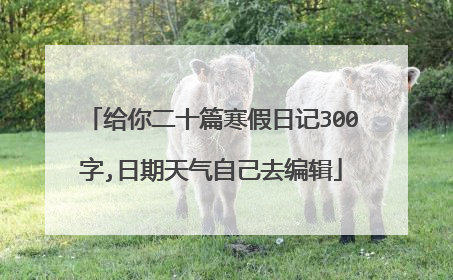给你二十篇寒假日记300字,日期天气自己去编辑