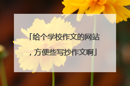 给个学校作文的网站，方便些写抄作文啊