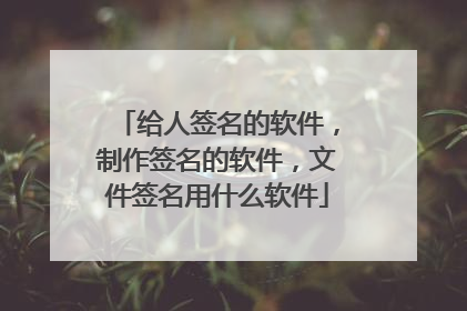 给人签名的软件，制作签名的软件，文件签名用什么软件