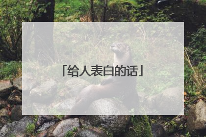 给人表白的话