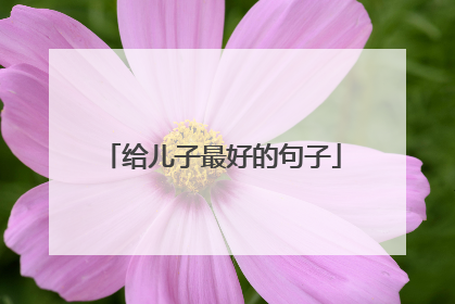 给儿子最好的句子