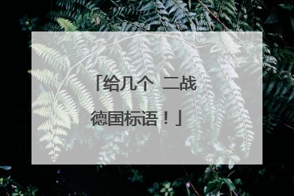 给几个 二战德国标语！