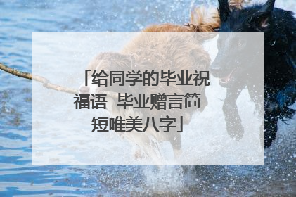给同学的毕业祝福语 毕业赠言简短唯美八字