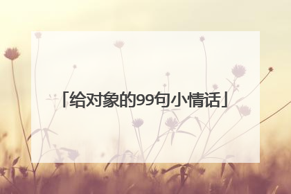 给对象的99句小情话