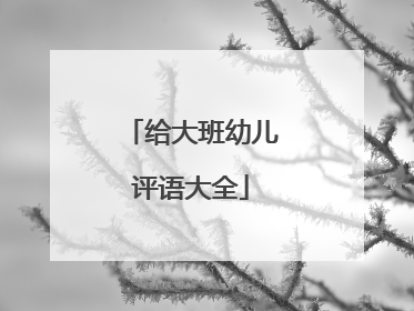 给大班幼儿评语大全