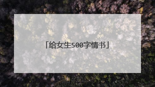 给女生500字情书